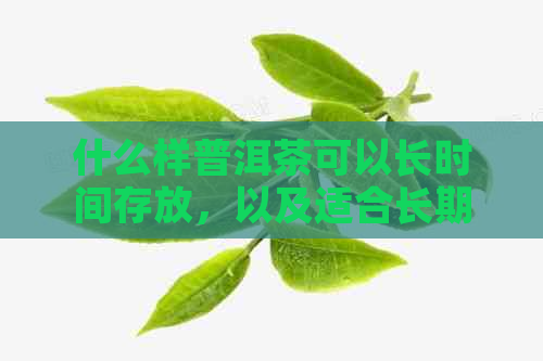 什么样普洱茶可以长时间存放，以及适合长期存放的冰箱条件和选择