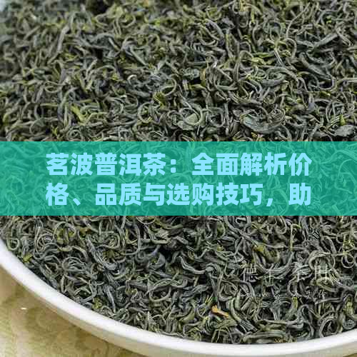 茗波普洱茶：全面解析价格、品质与选购技巧，助你轻松成为茶界行家