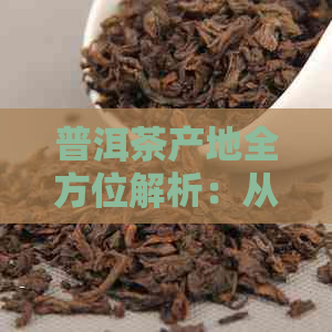 普洱茶产地全方位解析：从云南到其他地区，哪个地方的普洱茶最知名？