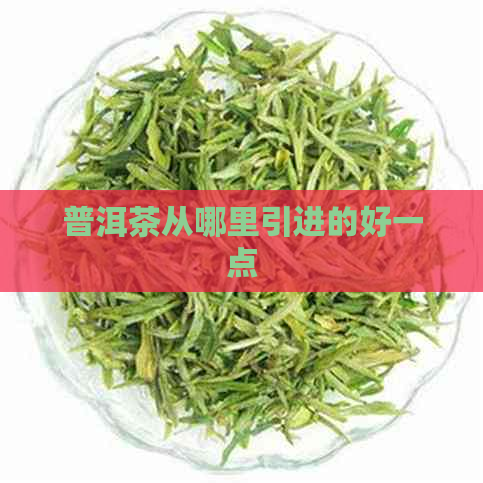 普洱茶从哪里引进的好一点