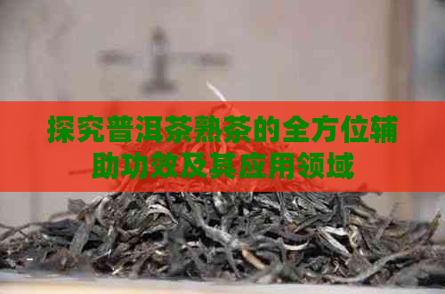 探究普洱茶熟茶的全方位辅助功效及其应用领域