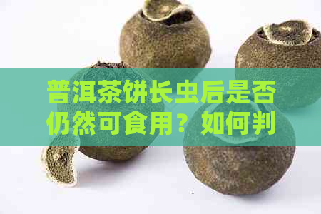 普洱茶饼长虫后是否仍然可食用？如何判断和处理？