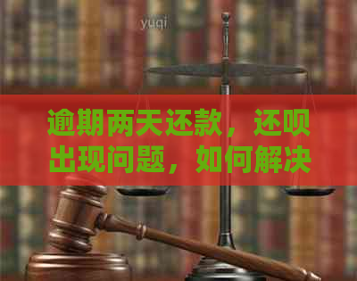 逾期两天还款，还呗出现问题，如何解决？