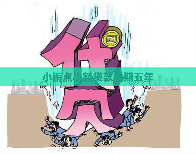 小雨点小额贷款逾期五年