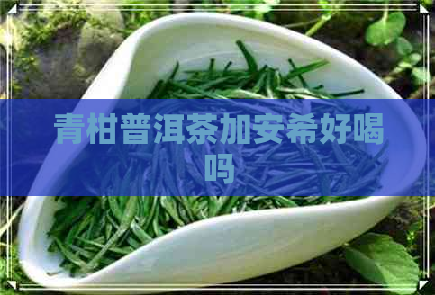 青柑普洱茶加安希好喝吗