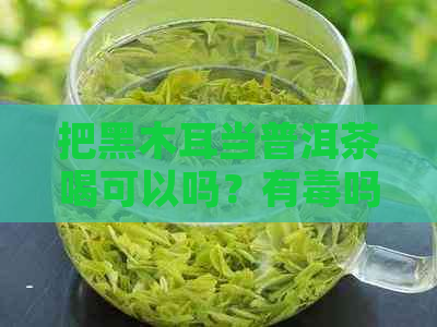 把黑木耳当普洱茶喝可以吗？有吗？会中吗？