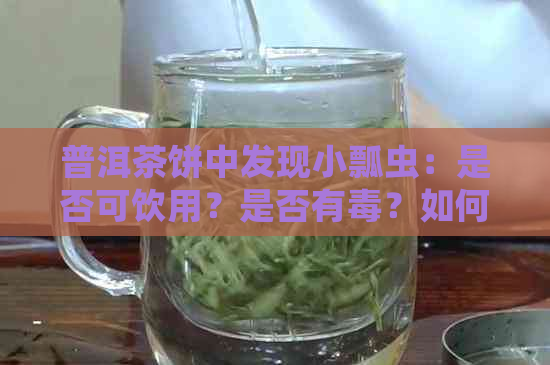 普洱茶饼中发现小瓢虫：是否可饮用？是否有？如何处理？