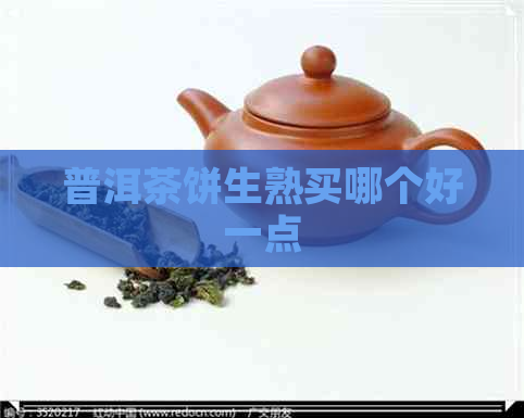 普洱茶饼生熟买哪个好一点