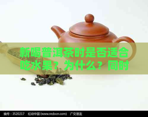 新喝普洱茶时是否适合吃水果？为什么？同时提供搭配建议。