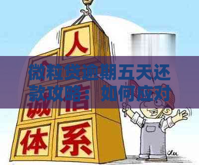 微粒贷逾期五天还款攻略：如何应对逾期后果及利息计算