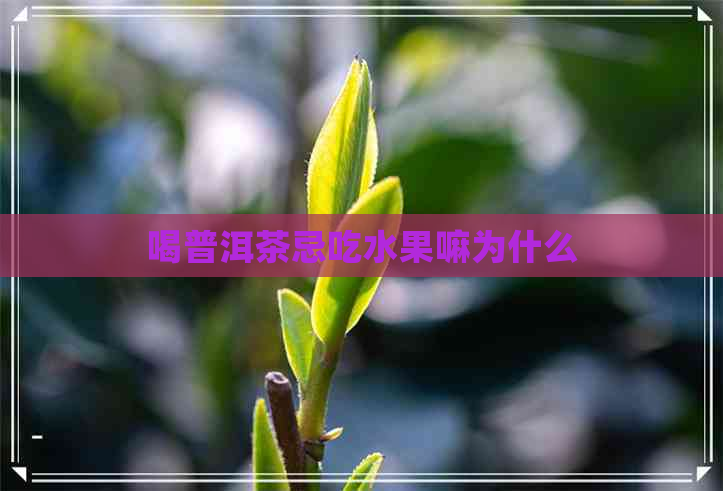 喝普洱茶忌吃水果嘛为什么