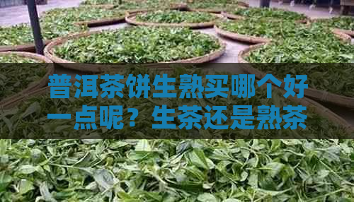 普洱茶饼生熟买哪个好一点呢？生茶还是熟茶好？