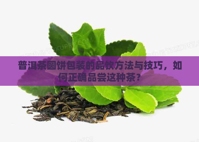 普洱茶圆饼包装的品饮方法与技巧，如何正确品尝这种茶？