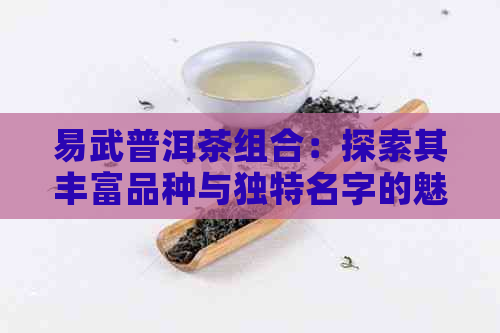 易武普洱茶组合：探索其丰富品种与独特名字的魅力