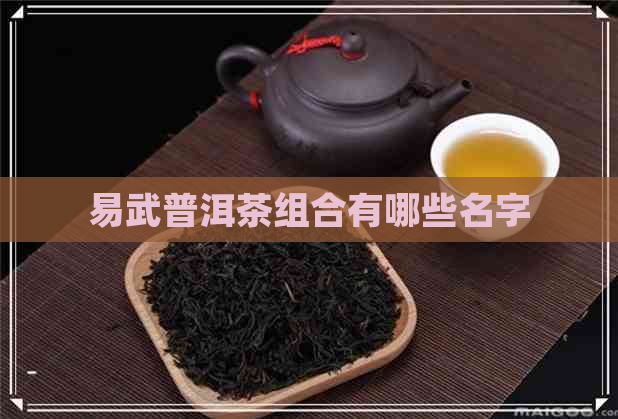 易武普洱茶组合有哪些名字