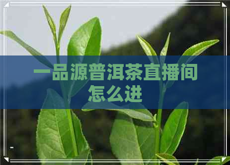 一品源普洱茶直播间怎么进