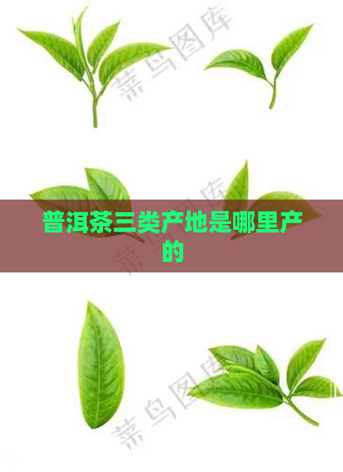 普洱茶三类产地是哪里产的