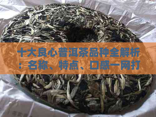 十大良心普洱茶品种全解析：名称、特点、口感一网打尽，助你轻松选购！