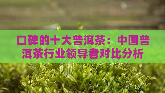 口碑的十大普洱茶：中国普洱茶行业领导者对比分析