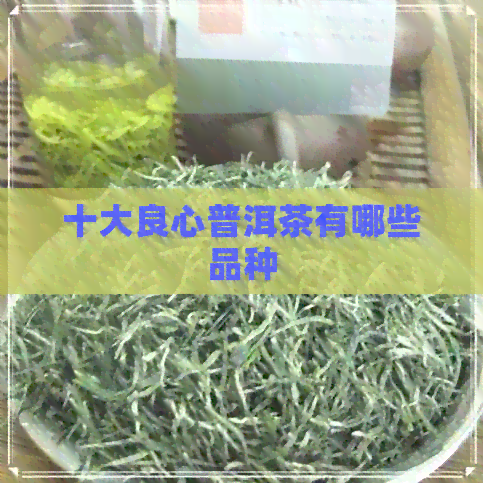 十大良心普洱茶有哪些品种