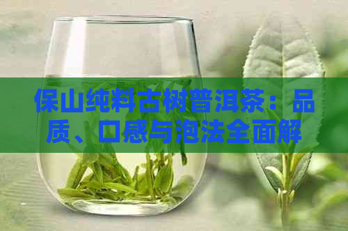 保山纯料古树普洱茶：品质、口感与泡法全面解析，是否好喝一试便知！