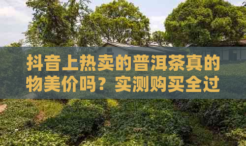 抖音上热卖的普洱茶真的物美价吗？实测购买全过程，让你省钱又省心！