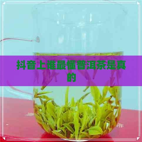 抖音上谁最懂普洱茶是真的