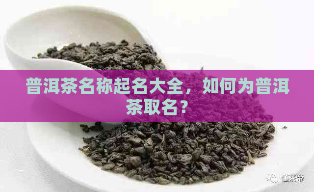 普洱茶名称起名大全，如何为普洱茶取名？