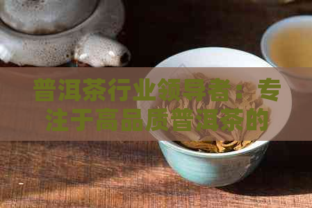 普洱茶行业领导者：专注于高品质普洱茶的创新与传承