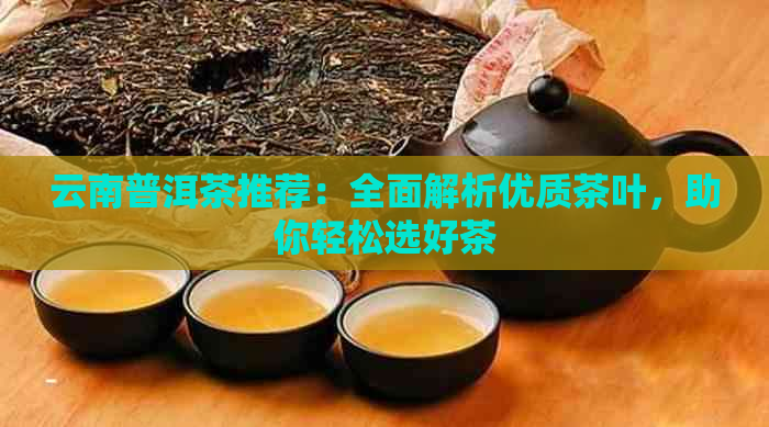 云南普洱茶推荐：全面解析优质茶叶，助你轻松选好茶