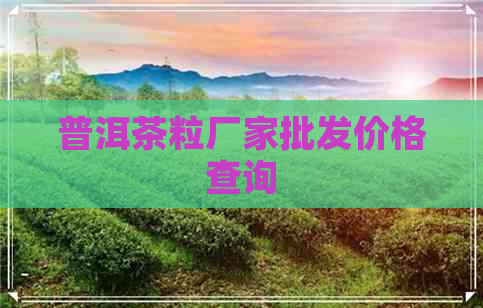 普洱茶粒厂家批发价格查询