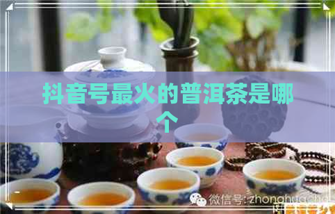 抖音号最火的普洱茶是哪个