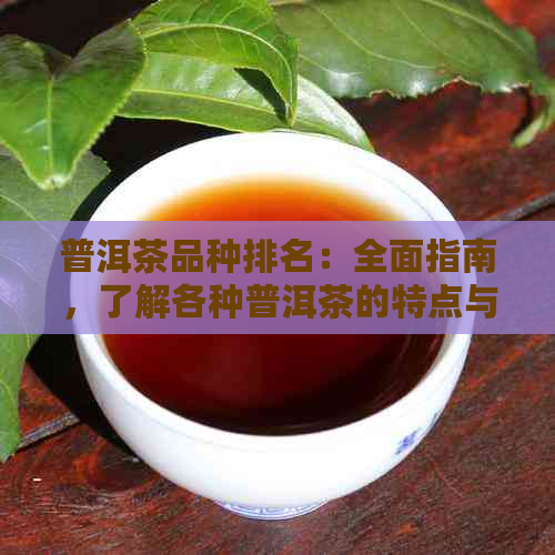 普洱茶品种排名：全面指南，了解各种普洱茶的特点与口感