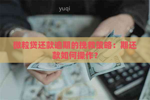 微粒贷还款逾期的挽救策略：期还款如何操作？