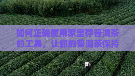 如何正确使用家里存普洱茶的工具，让你的普洱茶保持品质与口感