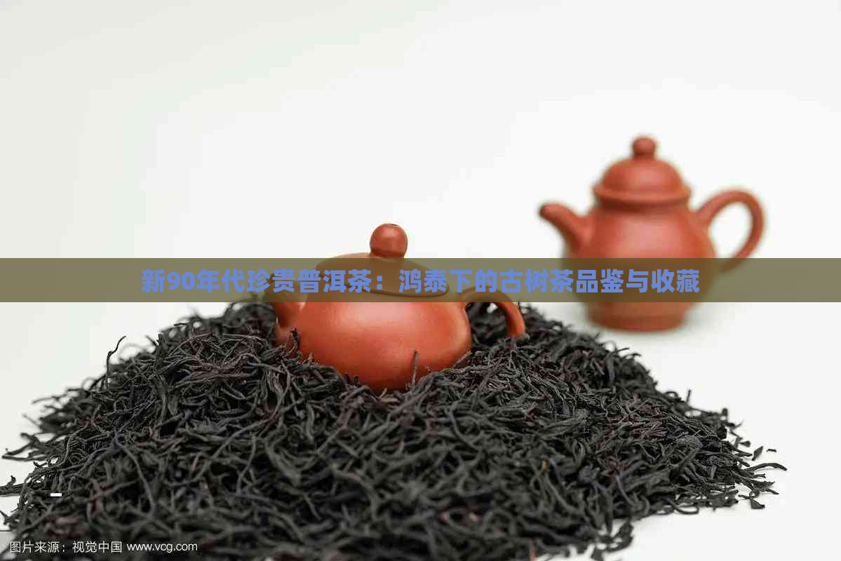 新90年代珍贵普洱茶：鸿泰下的古树茶品鉴与收藏