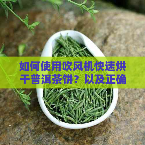 如何使用吹风机快速烘干普洱茶饼？以及正确的保存方法与注意事项