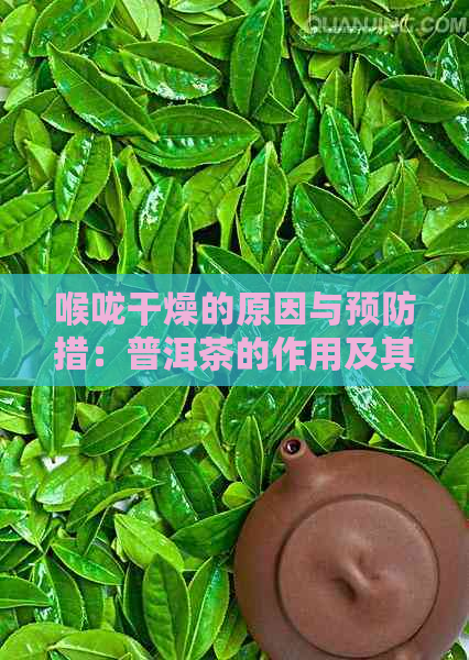 喉咙干燥的原因与预防措：普洱茶的作用及其适用人群