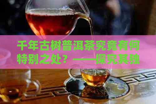 千年古树普洱茶究竟有何特别之处？——探究其独特魅力与特点