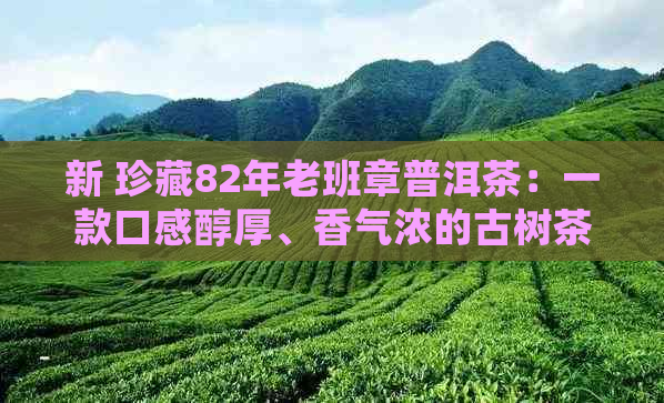 新 珍藏82年老班章普洱茶：一款口感醇厚、香气浓的古树茶品