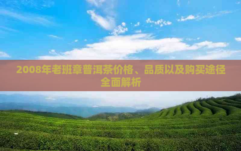 2008年老班章普洱茶价格、品质以及购买途径全面解析