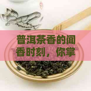 普洱茶香的闻香时刻，你掌握了吗？