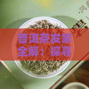 普洱茶发家全解：探寻第二幕的关键与影响因素