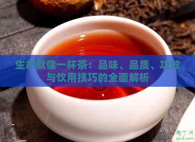 生命就像一杯茶：品味、品质、功效与饮用技巧的全面解析