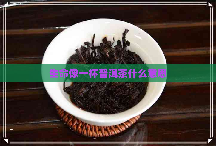 生命像一杯普洱茶什么意思