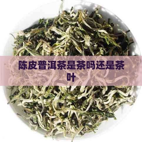 陈皮普洱茶是茶吗还是茶叶