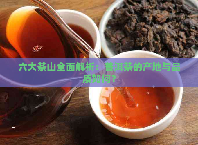 六大茶山全面解析：普洱茶的产地与品质如何？