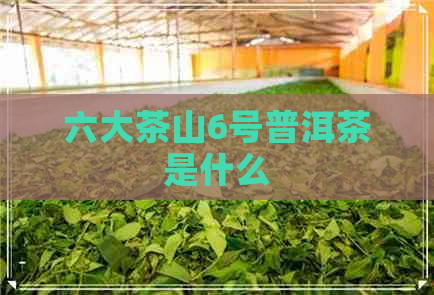 六大茶山6号普洱茶是什么