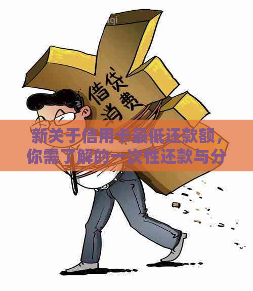 新关于信用卡更低还款额，你需了解的一次性还款与分期还款