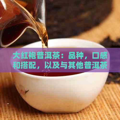 大红袍普洱茶：品种，口感和搭配，以及与其他普洱茶的关系